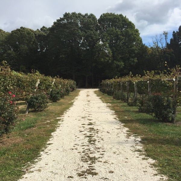 Photo taken at Cape May Winery &amp; Vineyard by Kimbo on 10/18/2015