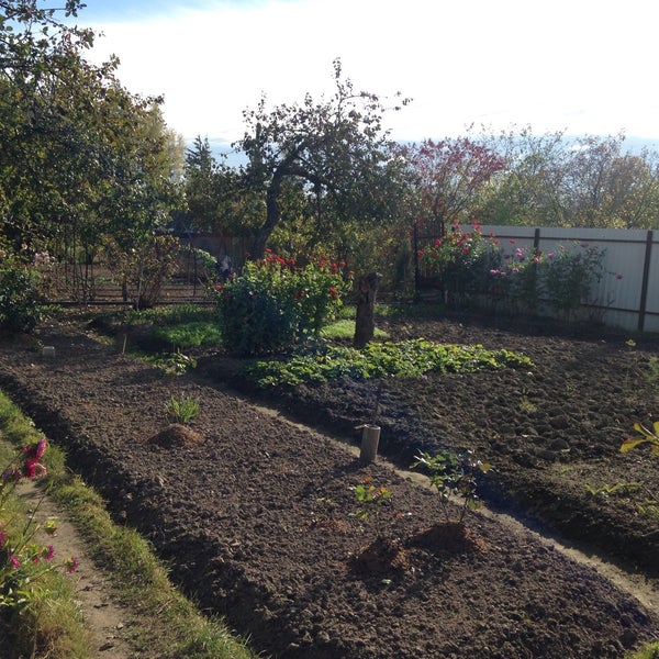 дачи ветеран. турейка наро фоминского района. дача 5,5 соток. дачи семилукский район.