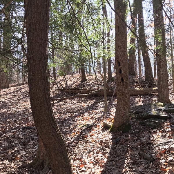 James Baird State Park 1 tip from 367 visitors