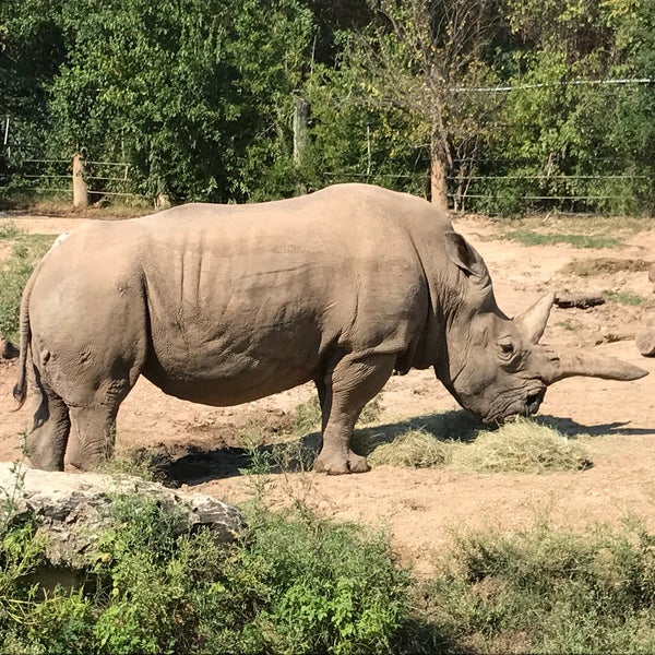 Foto tirada no(a) Cameron Park Zoo por Michael S. em 8/31/2017