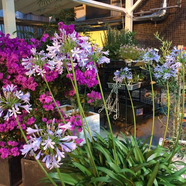 Photos At 渋谷園芸 ヴェルデステ 宇田川町 0 Tips
