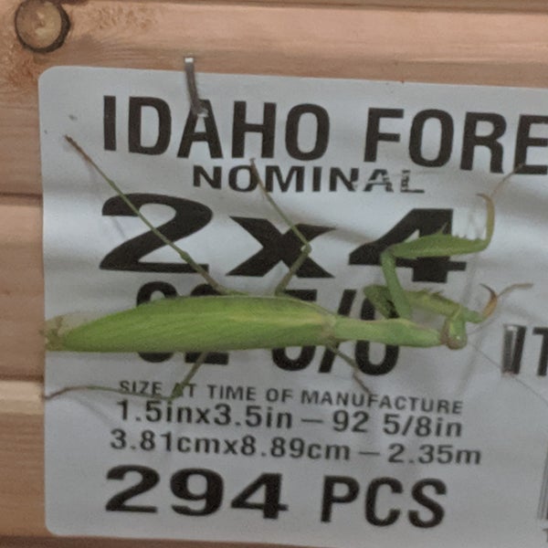 Lowe's Hardware Store in Farmingdale