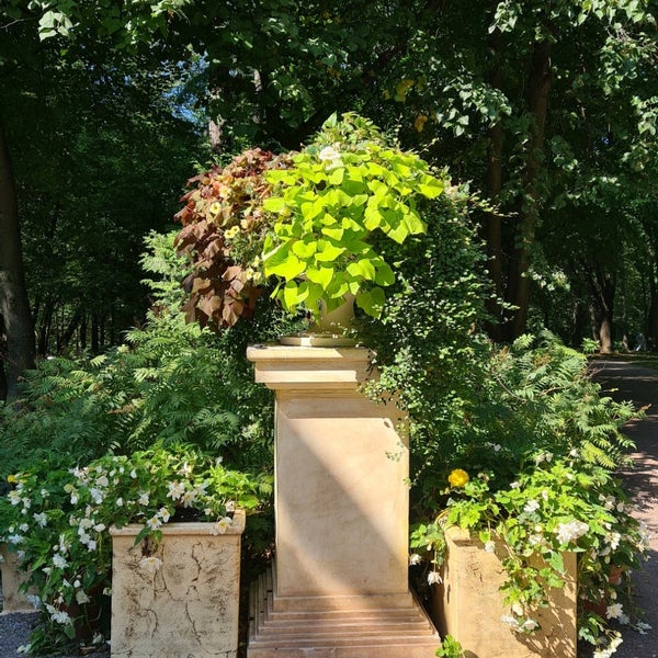 Photo taken at Neskuchny Garden by inspector c. on 8/28/2021