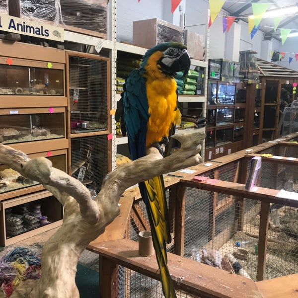 Kings Heath Pet Centre Pet Supplies Store in Birmingham