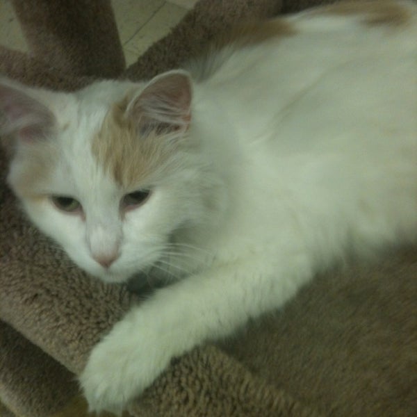 Pet Food CenterNorth Evansville, IN