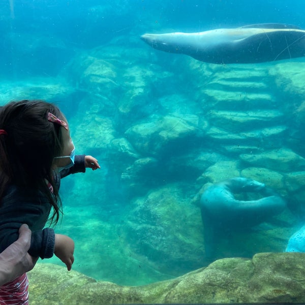 Foto tirada no(a) Aquarium of the Pacific por Sandy P. em 8/21/2021