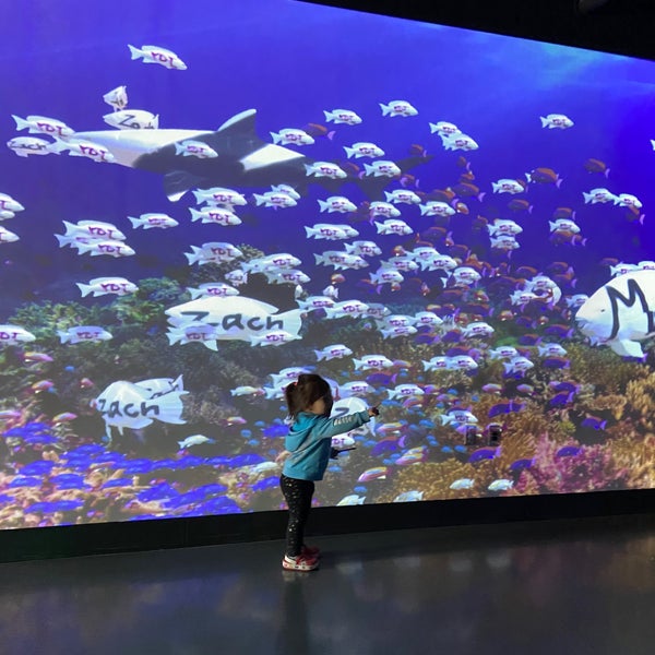 Foto tirada no(a) Aquarium of the Pacific por Sandy P. em 5/23/2021