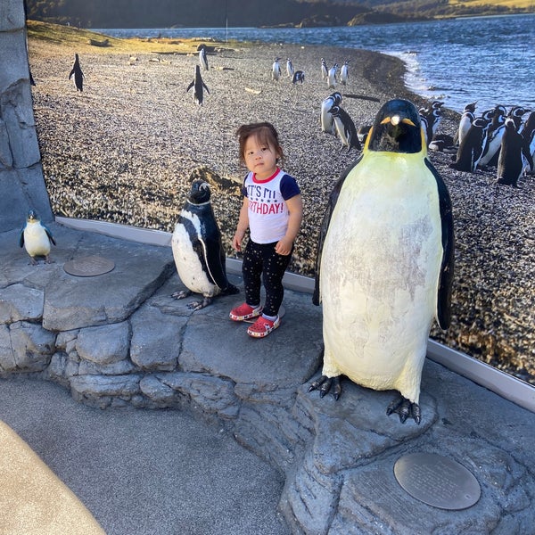 Photo taken at Aquarium of the Pacific by Sandy P. on 5/23/2021
