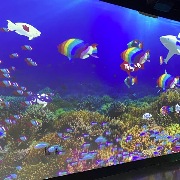 7/18/2021 tarihinde Sandy P.ziyaretçi tarafından Aquarium of the Pacific'de çekilen fotoğraf
