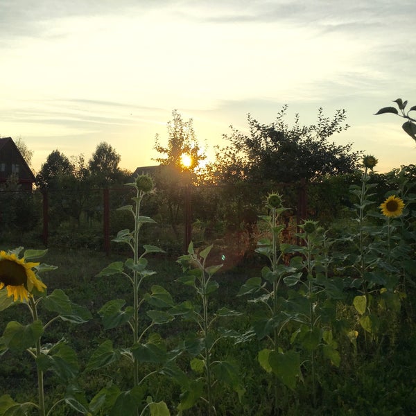 Зелёный посёлок дом. Поселок зеленый краснозаводск. Поселок зеленый краснозаводск. Дома на поле краснозаводск. Поселок зеленый краснозаводск.
