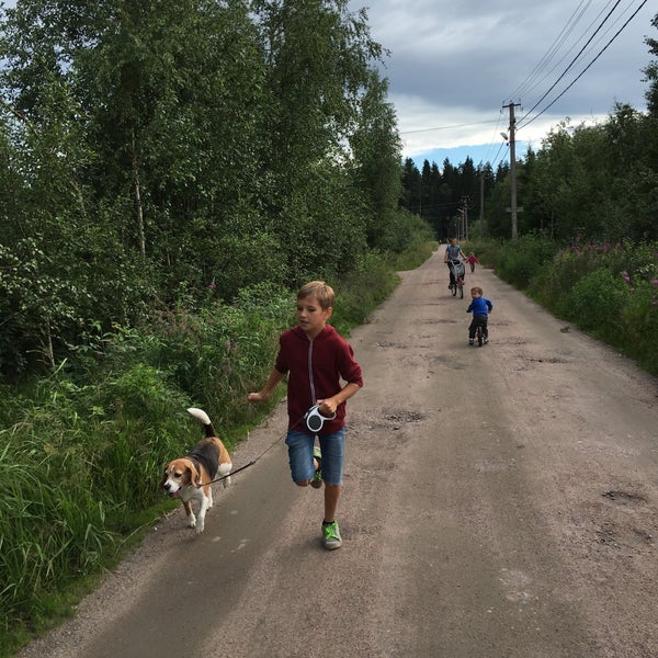 Купить Участок В Лейпясуо Снт Карелия