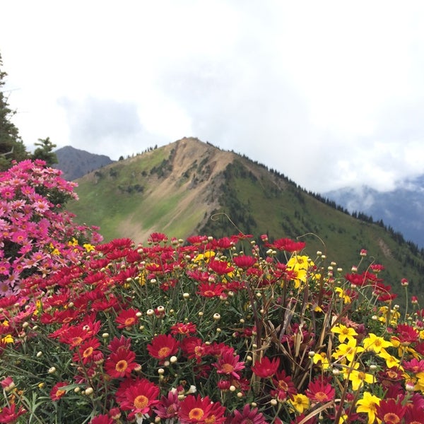Photos at Summit House Bistro - American Restaurant in Crystal Mountain