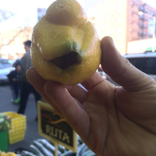 4/12/2015에 Journo G.님이 United Brothers Fruit Markets에서 찍은 사진
