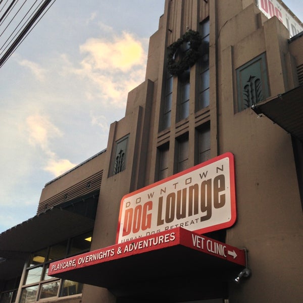 Downtown Dog Lounge (Now Closed) Interbay 5 tips from 226 visitors