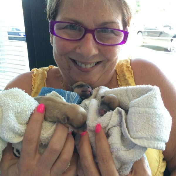 Vca Clackamas Animal Hospital Veterinarian In Clackamas