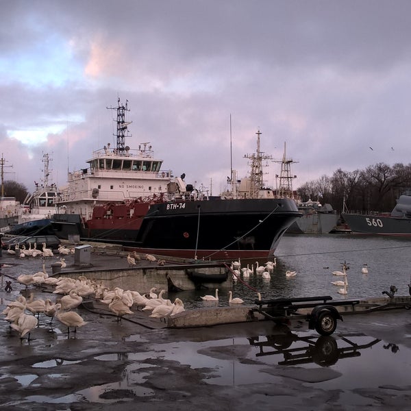 Поездка в балтийск. Тип балтийск нетип балтийск. Балтийск арсенал. Аэросъемка балтийска. Гс 214 балтийск.