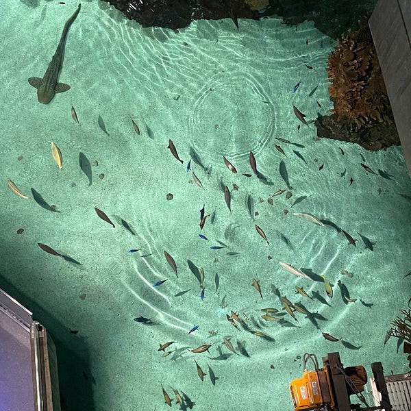 Foto diambil di National Aquarium oleh Laura B. pada 5/19/2022