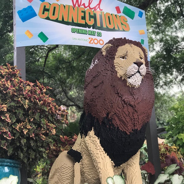 5/31/2020 tarihinde Mario G.ziyaretçi tarafından San Antonio Zoo'de çekilen fotoğraf