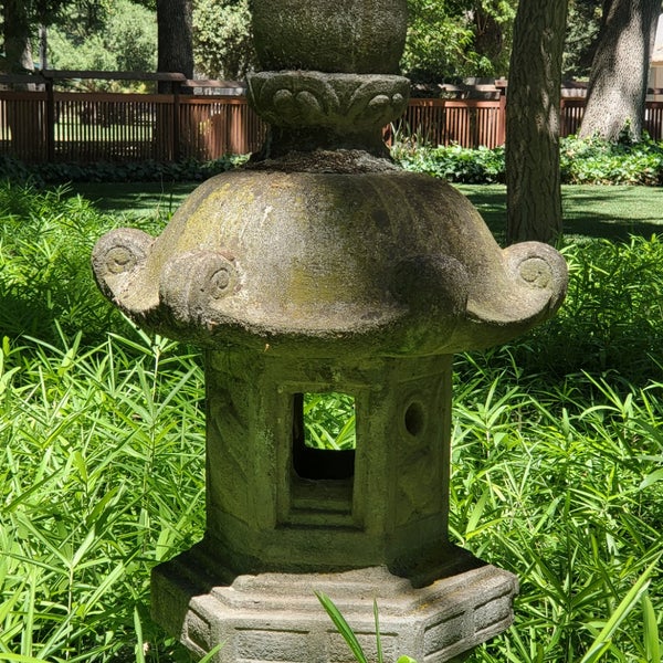 My Image 6
