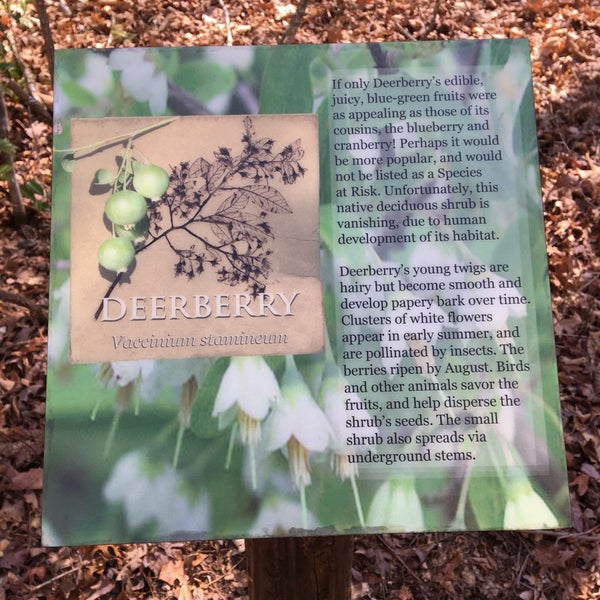 Das Foto wurde bei The North Carolina Arboretum von Anna M. am 3/22/2018 aufgenommen