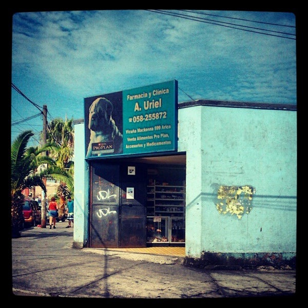 Clinica veterinaria Uriel Clinica veterinaria Uriel