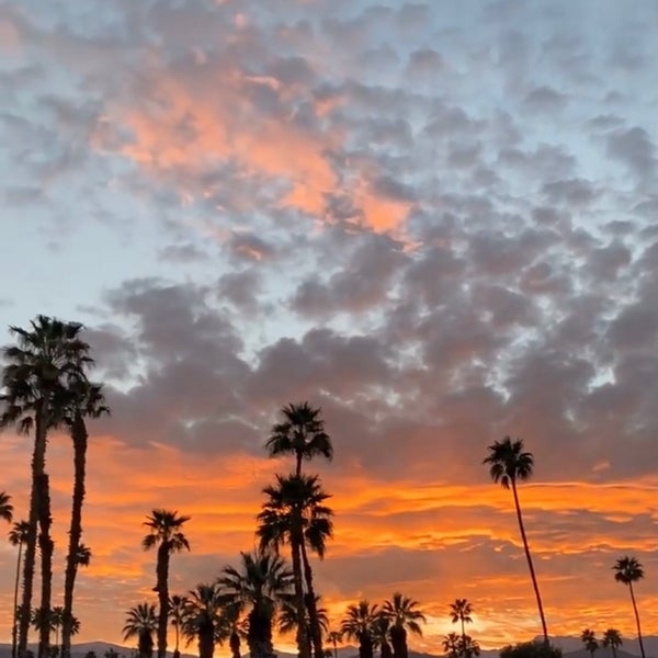 Palm Desert Escorts