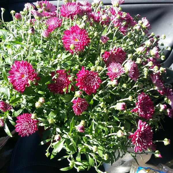 PagOmar Farms Market, Inc. 5 tips from 31 visitors