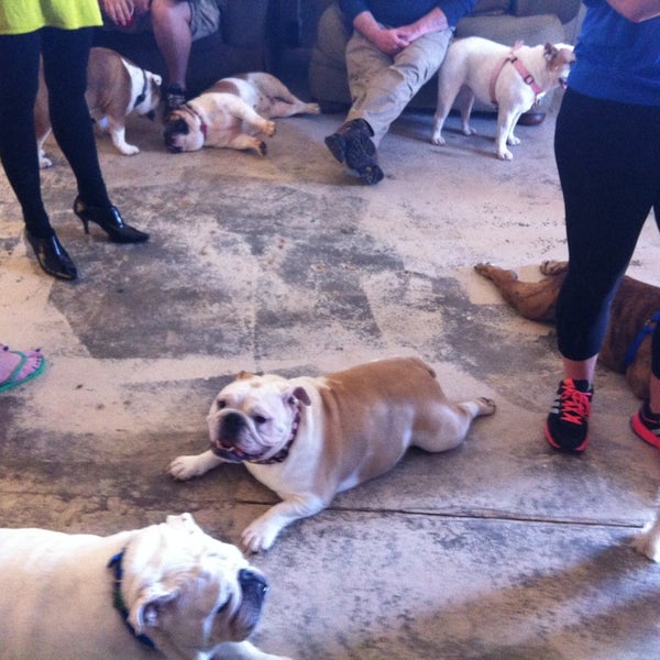 Atlanta Dog Spa Pet Service