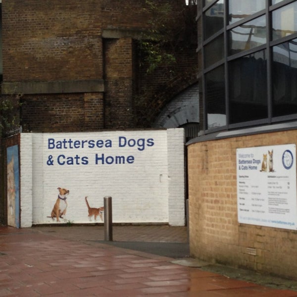 รูปภาพถ่ายที่ Battersea Dogs &amp; Cats Home โดย Caro O. เมื่อ 12/24/2012