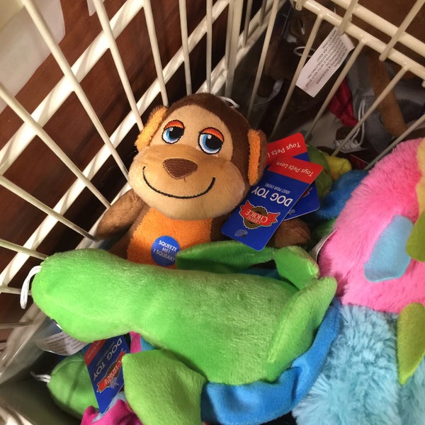 monkey dog toy petsmart