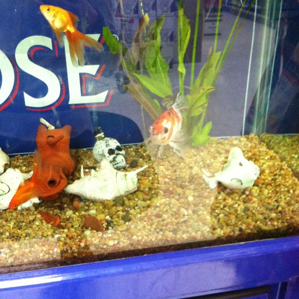 Clifton Discount Liquors Botany Section 4 tips from 139 visitors