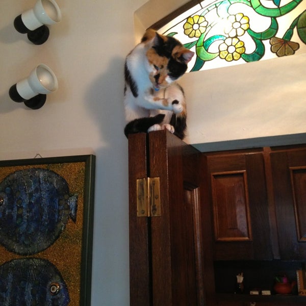 Photos at Meşhur Bebek Badem Ezmesi Candy Store in Beşiktaş