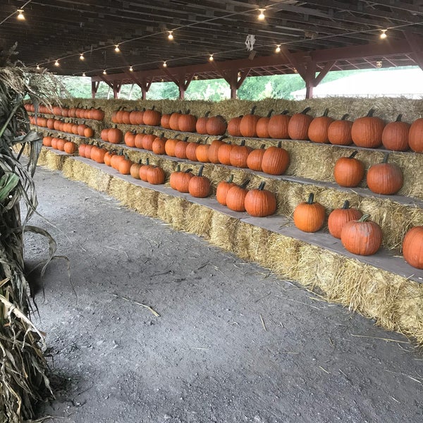 9/23/2018 tarihinde Logan L.ziyaretçi tarafından Wallkill View Farm Market'de çekilen fotoğraf
