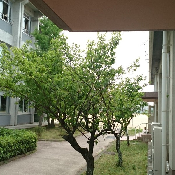 Photos At 香川大学教育学部附属高松中学校 高松市鹿角町