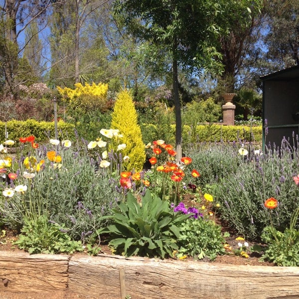 Nursery Garden Интернет Магазин Растений