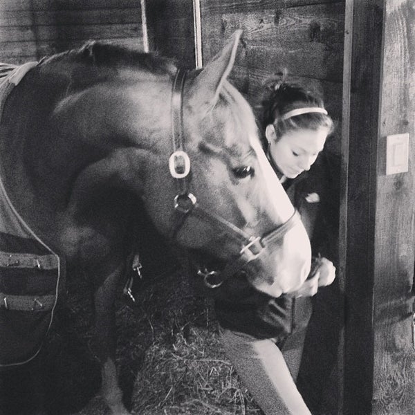 Silverstone Stables Rehoboth, MA