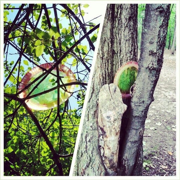 Hickory Hills Disc Golf Course Traverse City MI
