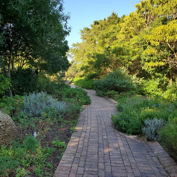 The Kirstenbosch Tea Room Table Mountain Kirstenbosch Gardens