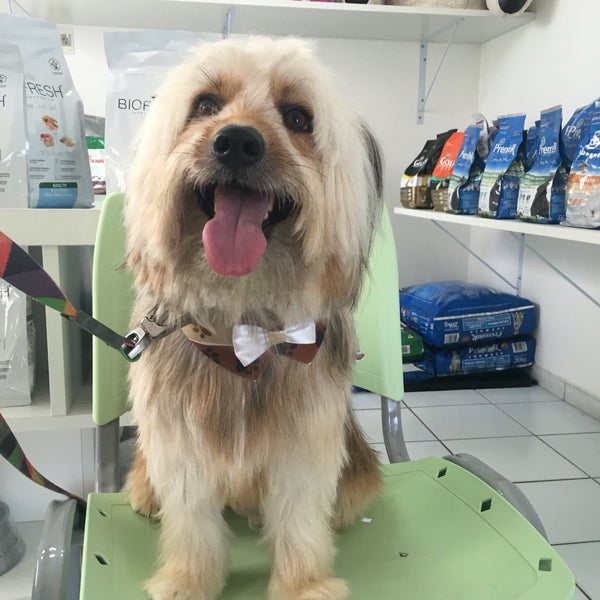 Photos at Animalerie Pet Shop (Now Closed) - Lagoa Nova - 1 tip Photos at Animalerie Pet Shop (Now Closed) - Lagoa Nova - 1 tip