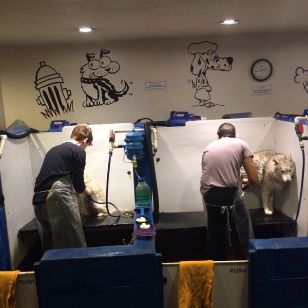 Dog Wash Doggie Daycare & Boarding NYC Greenwich Village 177