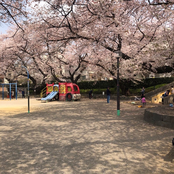 葉根木公園 南区 1つのtip 葉根木公園 南区 1つのtip