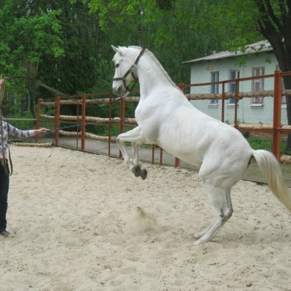 Foto diambil di Конный клуб &quot;Lucky Horse&quot; oleh Victoria F. pada 5/6/2013