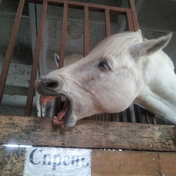 Foto diambil di Конный клуб &quot;Lucky Horse&quot; oleh Victoria F. pada 5/6/2013