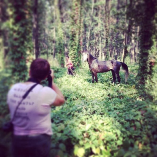 Foto tomada en Конный клуб &quot;Lucky Horse&quot;  por Victoria F. el 8/23/2013