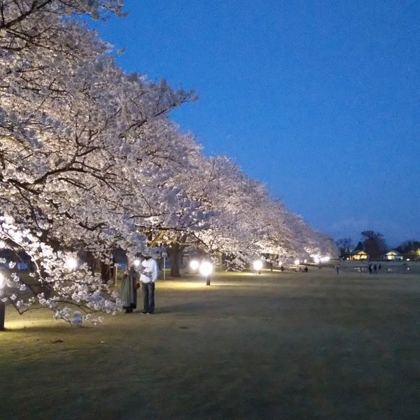 Photos At 富山県中央植物園 2 Tips