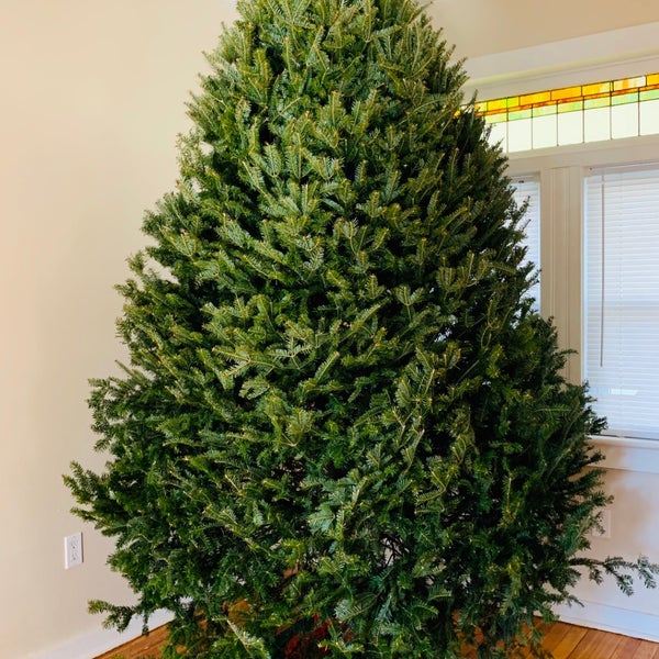 Ganim's Garden Center and Florist, LLC Fairfield, CT