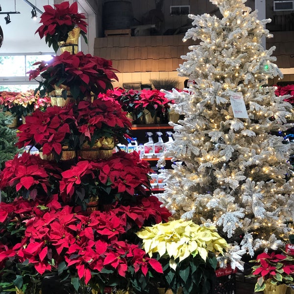 Photo taken at Armstrong Garden Centers by Emerald 7. on 12/1/2019
