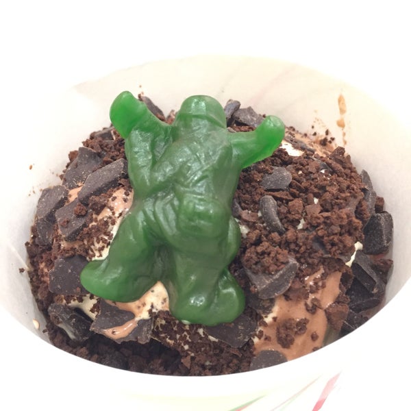 Hoopla Frozen Yogurt (Now Closed) WilkesBarre, PA