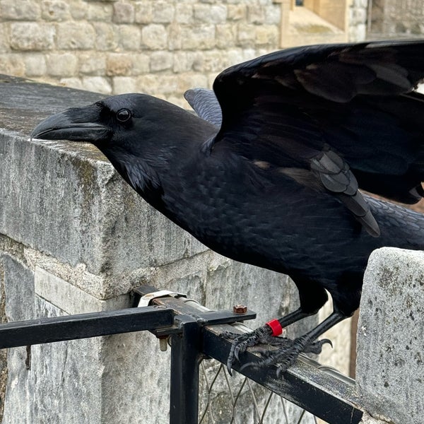 Photo taken at Tower of London by Joshua S. on 4/3/2024