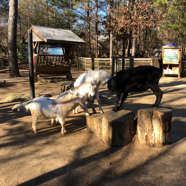 Sissy Island Petting Zoo